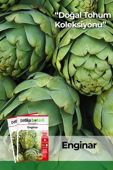 15 Adet Yerli Ata Enginar Tohumu ürün görseli
