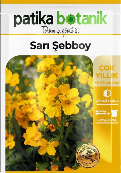 100 Adet Şebboy Sarı (cheiranthus Cheiri) Çiçek Tohumu 100 Adet - 2