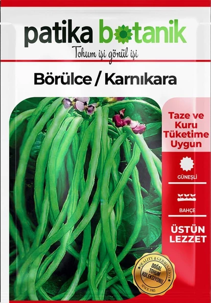 40 Adet Yerli Ata Börülce Tohumu - Resim 2