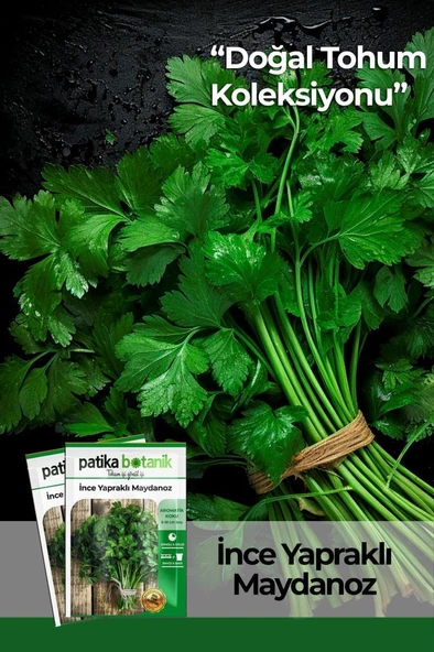 2500 Adet İnce Yapraklı Maydanoz ürün görseli
