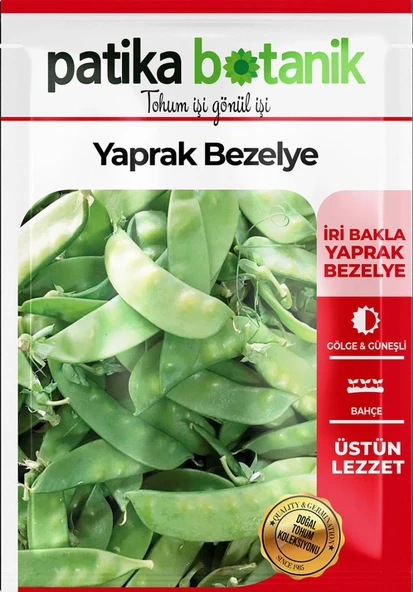 40 Adet Yerli Ata Yaprak Bezelye Tohumu - Resim 2
