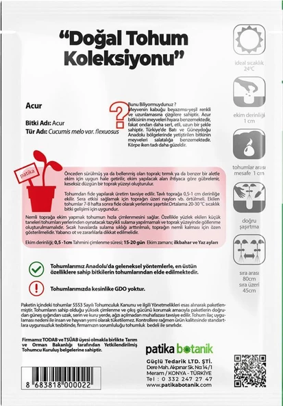 250 Adet Yerli Ata Acur Tohumu - Resim 3