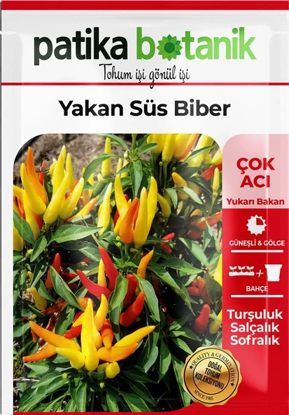 150 Adet Yerli Ata Sarı Süs Biber Tohumu - 2
