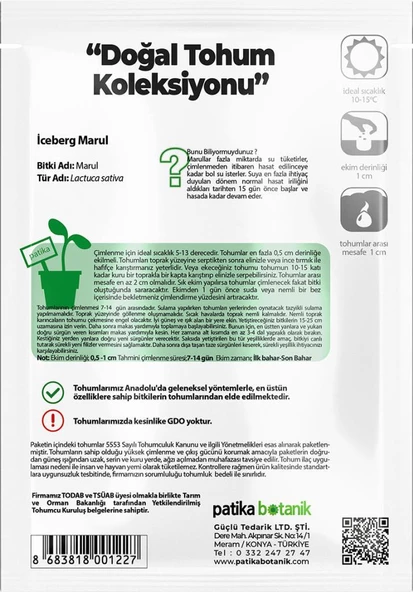 1000 Adet Göbek İceberg Marul Tohumu - Resim 3