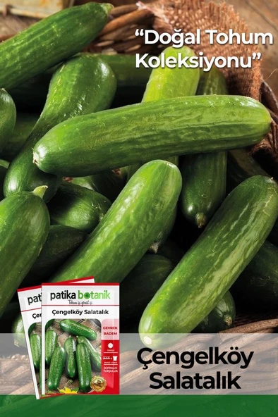 120 Adet Yerli Ata Çengelköy Tipi Hıyar Tohumu ürün görseli