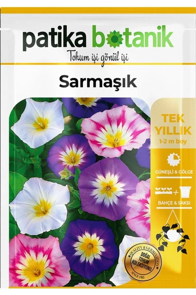 50 Adet Sarmaşık - Gündüz Sefası Çiçek Tohumu - Resim 2