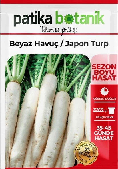 500 Adet Japon Turp Tohumu - Resim 2