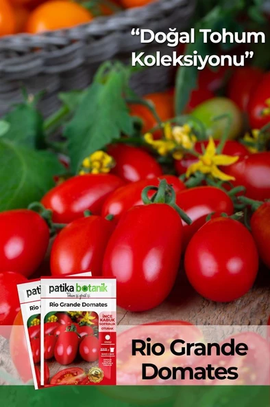 200 Adet Rio Grande (Bursa, Salçalık) Domates Tohumu ürün görseli