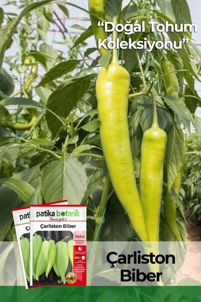 200 Adet Çarliston Biber Tohumu ürün görseli