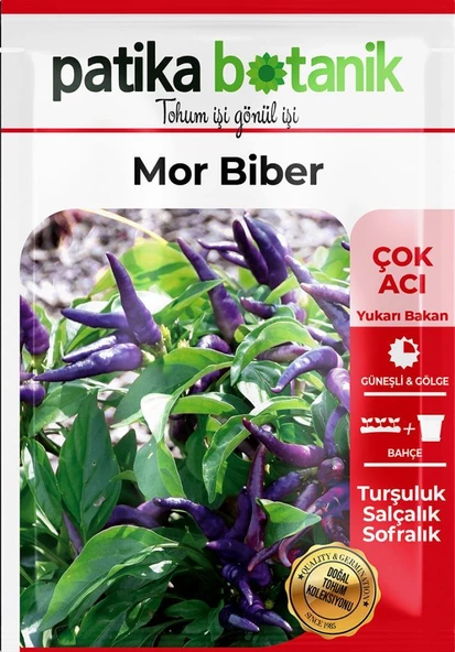 150 Adet Ata Tohumu Yerli Mor Cin Biber - Resim 2