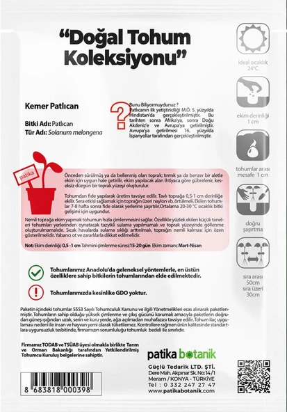 150 Adet Yerli Ata Kemer Patlıcan Tohumu - Resim 3