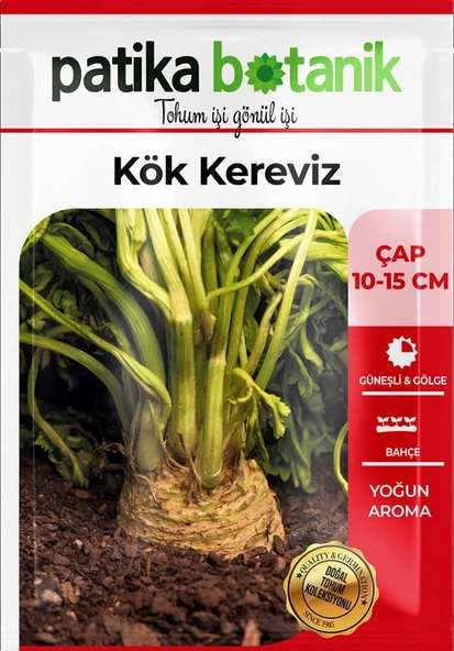 10.000 Adet Kök Kereviz Tohumu - 2