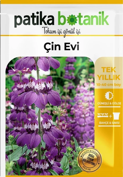 100 Adet Mor-beyaz Çin Evi Çiçek Tohumu (COLLİNSİA HETEROPHYLLA) - 2