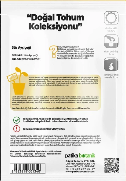 50 Adet Süs Ayçiçeği (Helianthus Debilis) Çiçek Tohumu - Resim 3