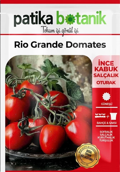 200 Adet Rio (Bursa, Salçalık) Domates Tohumu - Resim 2