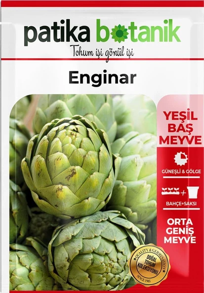 15 Adet Yerli Ata Enginar Tohumu - Resim 2