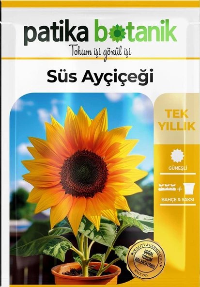 50 Adet Süs Ayçiçeği (Helianthus Debilis) Çiçek Tohumu - Resim 2