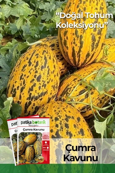 100 Adet Çumra Kavunu Tohumu ürün görseli