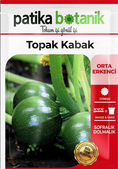 30 Adet Topak Kabak Tohumu - Resim 2