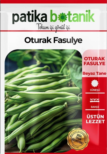 50 Adet Oturak Fasulye Tohumu - Resim 2