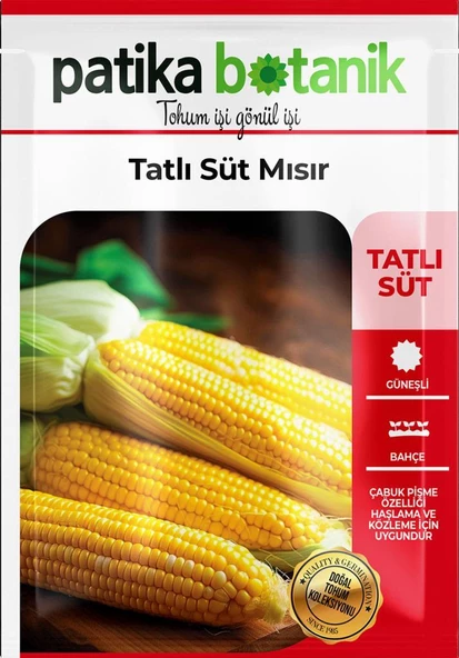 40 Adet Yerli Ata Tatlı Mısır Tohumu (Haşlamalık, Közlemelik) - Resim 2