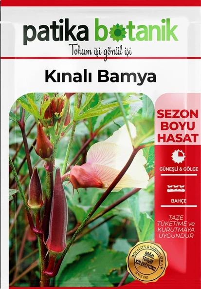 100 Adet Kınalı Bamya Tohumu - Resim 2