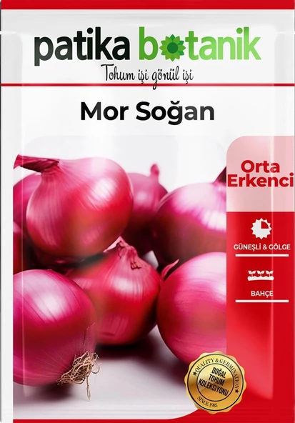 500 Adet Mor Soğan Tohumu - Resim 2