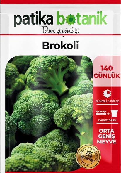 300 Adet Brokoli Tohumu - Resim 2