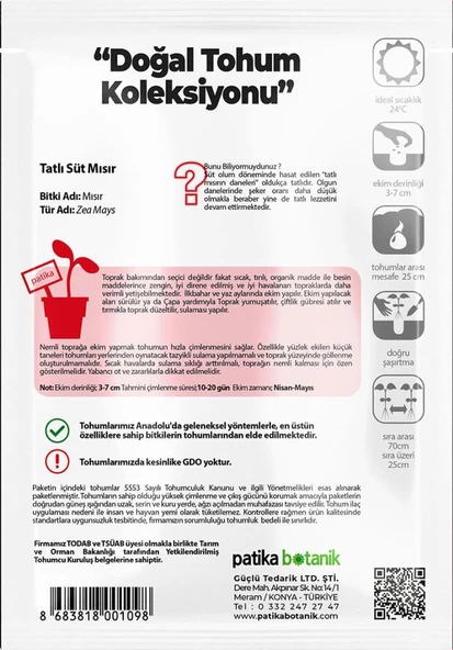 40 Adet Yerli Ata Tatlı Mısır Tohumu (Haşlamalık, Közlemelik) - Resim 3