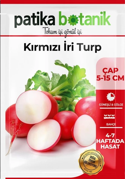500 Adet İri Kırmızı Turp Tohumu - Resim 2