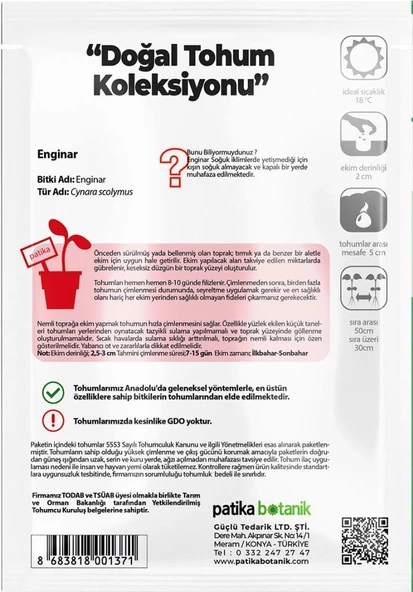 20 Adet Enginar Tohumu - Resim 3