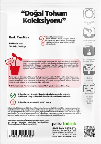 15 Adet Doğal Renkli Cam Mısır Tohumu - 3