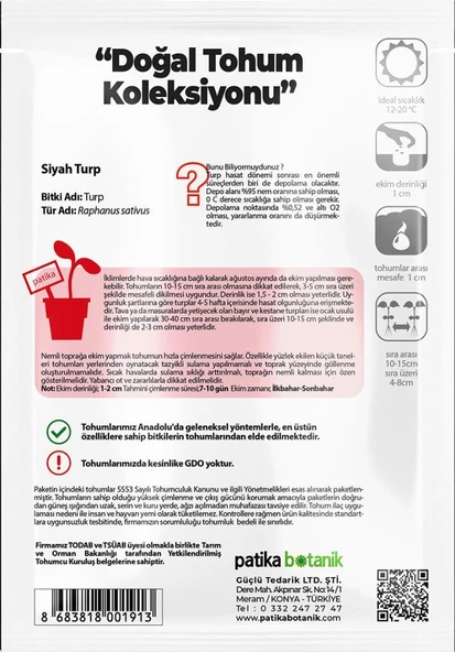 500 Adet Siyah Turp Tohumu - Resim 3