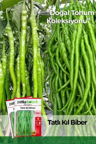 1.200 Adet Yerli Ata Tatlı Kıl Biber Tohumu (10 Gr) ürün görseli