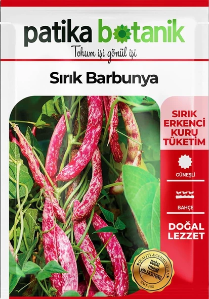 40 Adet Yerli Ata Sırık Barbunya Tohumu (Selim) - Resim 2