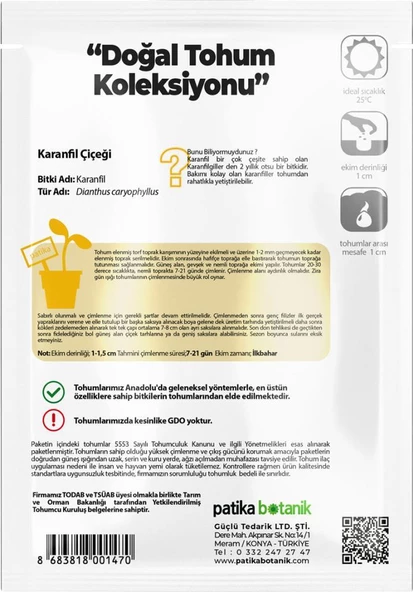 100 Adet Karanfil (DİANTHUS CARYOPHYLLUS) Çiçek Tohumu - Resim 3