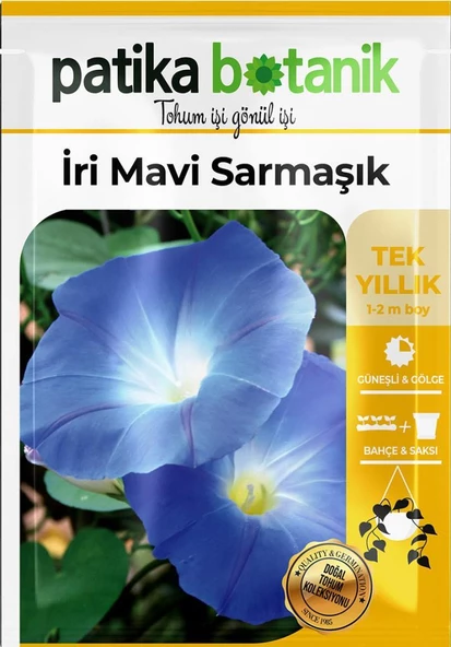 30 Adet İri Mavi Sarmaşık Çiçek Tohumu - 2