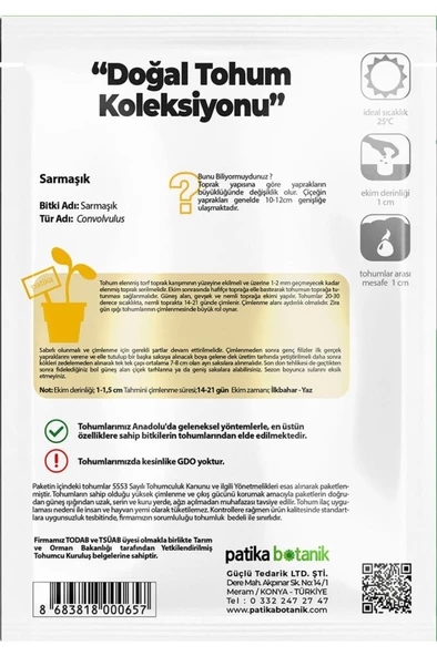 50 Adet Sarmaşık - Gündüz Sefası Çiçek Tohumu - Resim 3