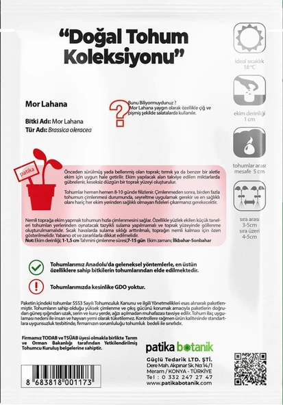 400 Adet Yerli Ata Kırmızı (Mor) Lahana Tohumu - Resim 3