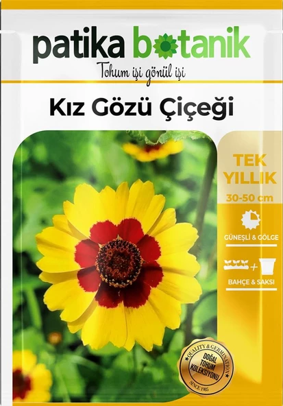 100 Adet Kız Gözü (Coreopsis Tinctoria) Çiçek Tohumu - 2