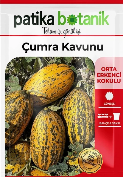 100 Adet Çumra Kavunu Tohumu - Resim 2
