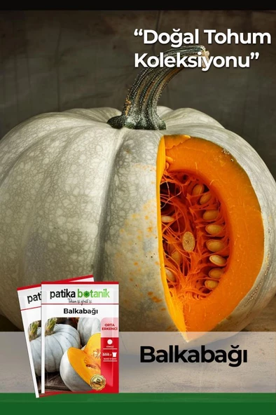 15 Adet Balkabağı Tohumu (Turuncu Etli) ürün görseli