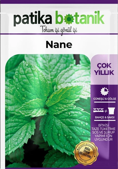 75 Adet Ata Tohumu Yerli Nane (Mentha) - 2