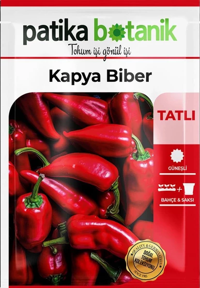 200 Adet Kapya Biber Tohumu - Resim 2