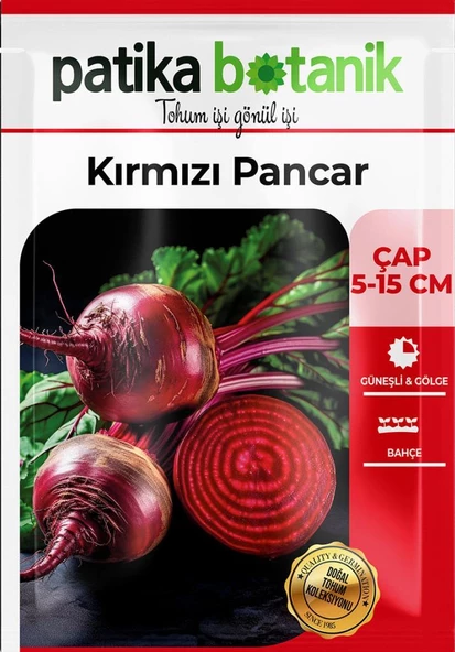 75 Adet Yerli Ata Kırmızı Pancar Tohumu - Resim 2