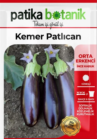 200 Adet Kemer Patlıcan Tohumu - Resim 2