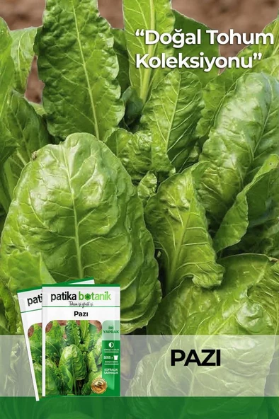 400 Adet Yerli Ata Geniş Yaprak Pazı Tohumu (10 Gram) ürün görseli