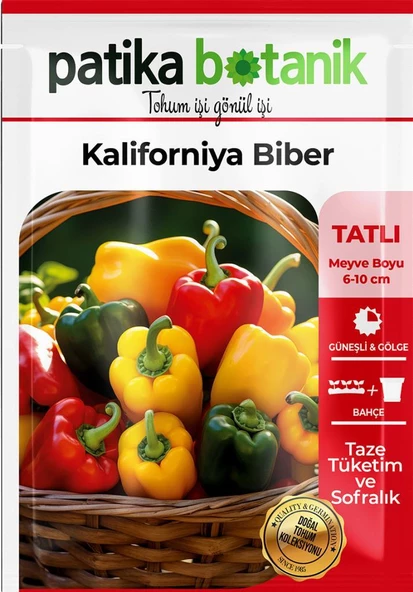 75 Adet Yerli Ata Kaliforniya Biber Tohumu - 2