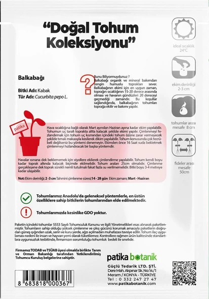 15 Adet Balkabağı Tohumu (Turuncu Etli) - Resim 3