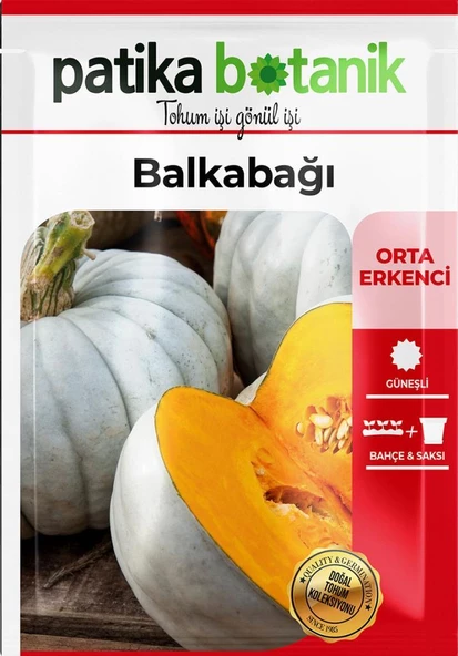 15 Adet Balkabağı Tohumu (Turuncu Etli) - Resim 2